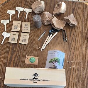 Avergo DIY Bonsai Tree Kit for Beginners